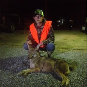 Meet your Posher, Robbie